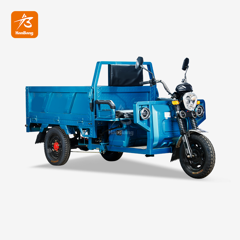 Heavy Load Electric Tricycleic Vehicle